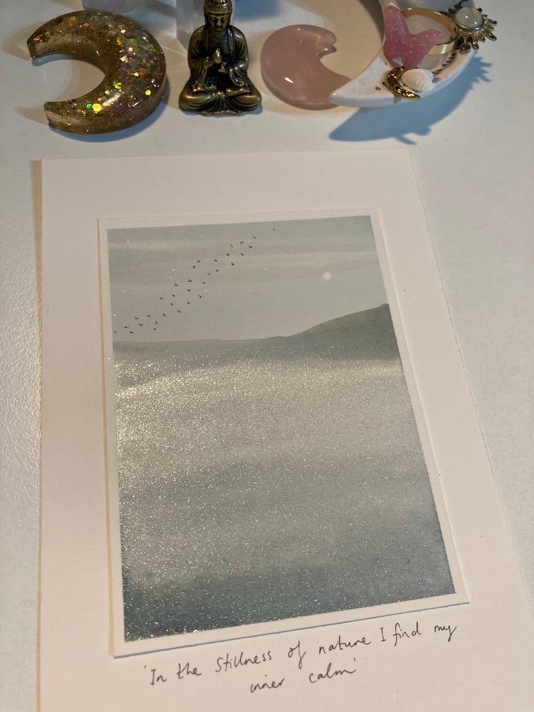 Image of Calm in nature 🌿⚪️☁️🙏🏻✨