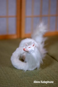 Image 3 of Kudagitsune [PREORDER]