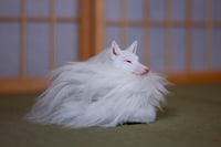 Image 12 of Kudagitsune [PREORDER]