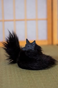 Image 13 of Kudagitsune [PREORDER]