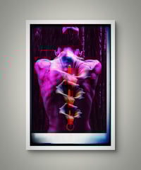 Image 2 of '3 Lilies'