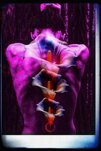 Image 1 of '3 Lilies'