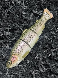 Immortal Trout 7.7 “Stocker Trout”