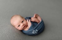 Image 2 of Pablo beanbag backdrop in Gray