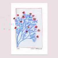 Image 1 of Épinettes