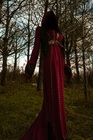 Image of Toxic Vision Spiritchaser cloak and harness belt