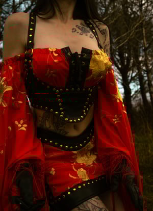 Image of Toxic Vision Spiritchaser longsleeve top and bustier