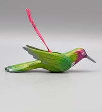 Image 2 of 🔴Hummingbird