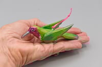 Image 3 of 🔴Hummingbird