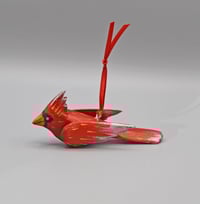 Image 2 of 🔴Baby Cardinal