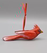 Image 1 of 🔴Baby Cardinal