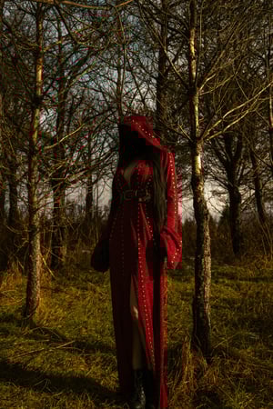 Image of Toxic Vision Spiritchaser cloak and harness belt