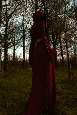 Image of Toxic Vision Spiritchaser cloak and harness belt