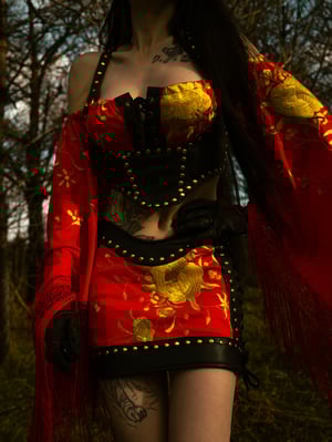 Image of Toxic Vision Spiritchaser longsleeve top and bustier