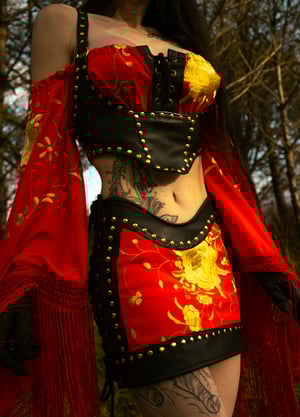 Image of Toxic Vision Spiritchaser longsleeve top and bustier