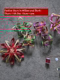 Image 1 of Festive Stars in Willow and Bark: Thurs 11th Dec 10am-1pm