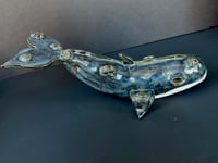 Image 2 of Wade the Whale