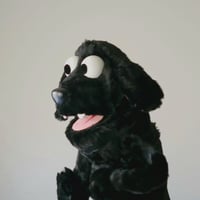Image 3 of The DOG Critter Puppet in Short Black