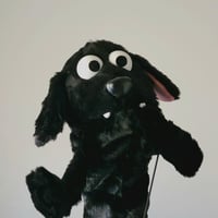 Image 2 of The DOG Critter Puppet in Short Black
