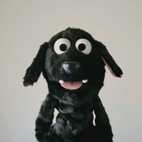 Image 1 of The DOG Critter Puppet in Short Black