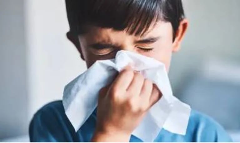 RUB OILS: BONE-ACTIV/CHAGA MUSHROOM/KID-E-CARE (Bones/Joints). Bone Density-Skeletal System. 