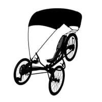 Canopy for recumbent trike
