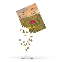 Image 3 of  Cosmo, Cowpen Daisies, and a Rainbow - Jigsaw Puzzle - 252 Pieces