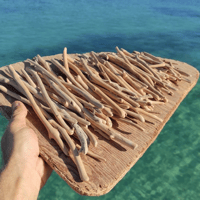 Image 1 of Small driftwood 