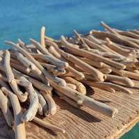 Image 2 of Small driftwood 
