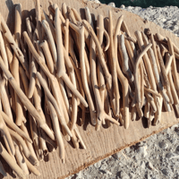 Image 3 of Small driftwood 