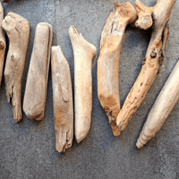 Image 2 of Driftwood Sticks