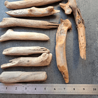Image 3 of Driftwood Sticks