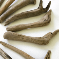 Image 1 of Driftwood 