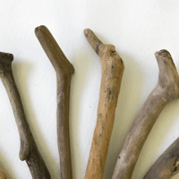 Image 3 of Driftwood 