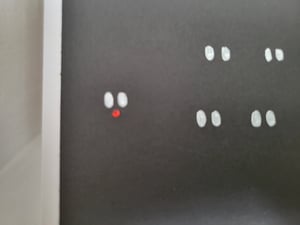 Image of Sleigh Pullers