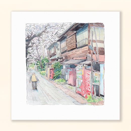 Sakura Floreciendo - Giclée Print