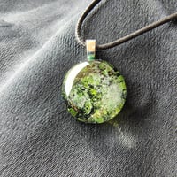 Image 1 of Mosslight