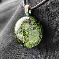 Image 2 of Mosslight