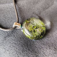 Image 3 of Mosslight