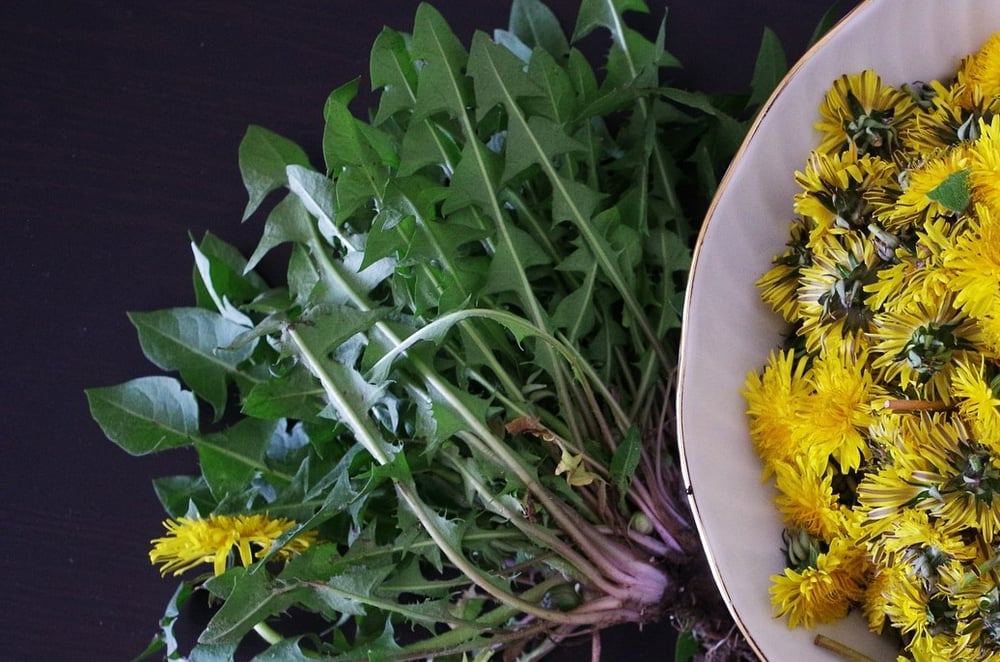 Dehydrated Vegetables. BELL PEPPERS. BUTTERNUT SQUASH. ZUCCHINI. DANDELION LEAF.  