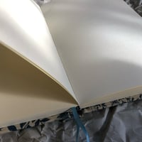 Image 3 of Forest Animals Notebook