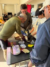 Image 4 of Adult and Pediatric First Aid/CPR/AED r.25 01/10/26 8am class