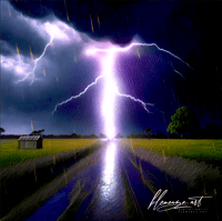 Image 1 of ELECTRIC RAIN