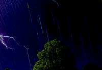 Image 4 of ELECTRIC RAIN