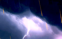 Image 7 of ELECTRIC RAIN