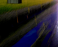 Image 8 of ELECTRIC RAIN