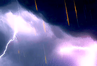 Image 10 of ELECTRIC RAIN