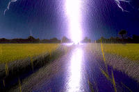 Image 11 of ELECTRIC RAIN