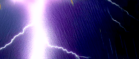 Image 13 of ELECTRIC RAIN