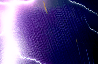 Image 15 of ELECTRIC RAIN